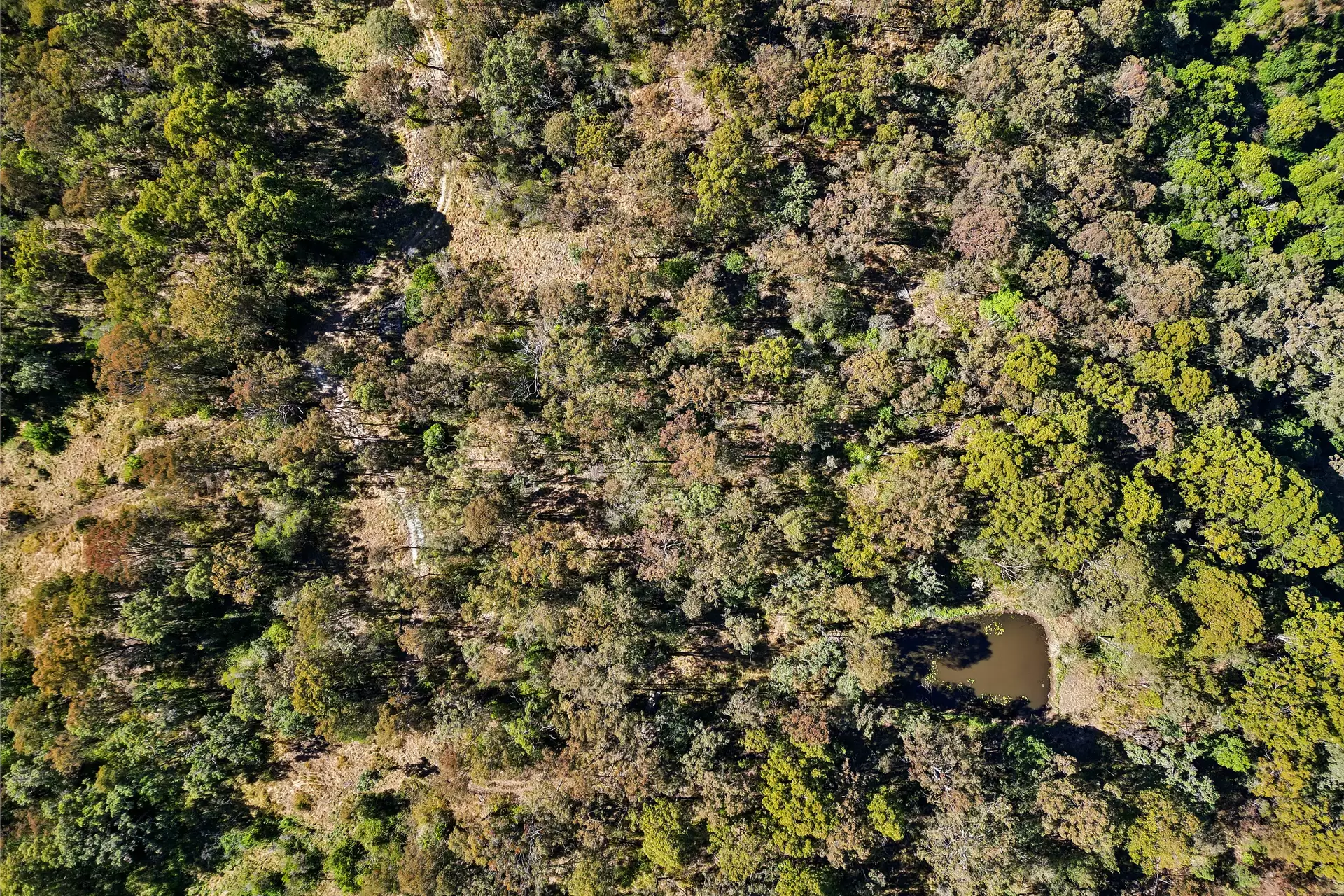 69  Regal Drive, Canungra Sold by  - image 1