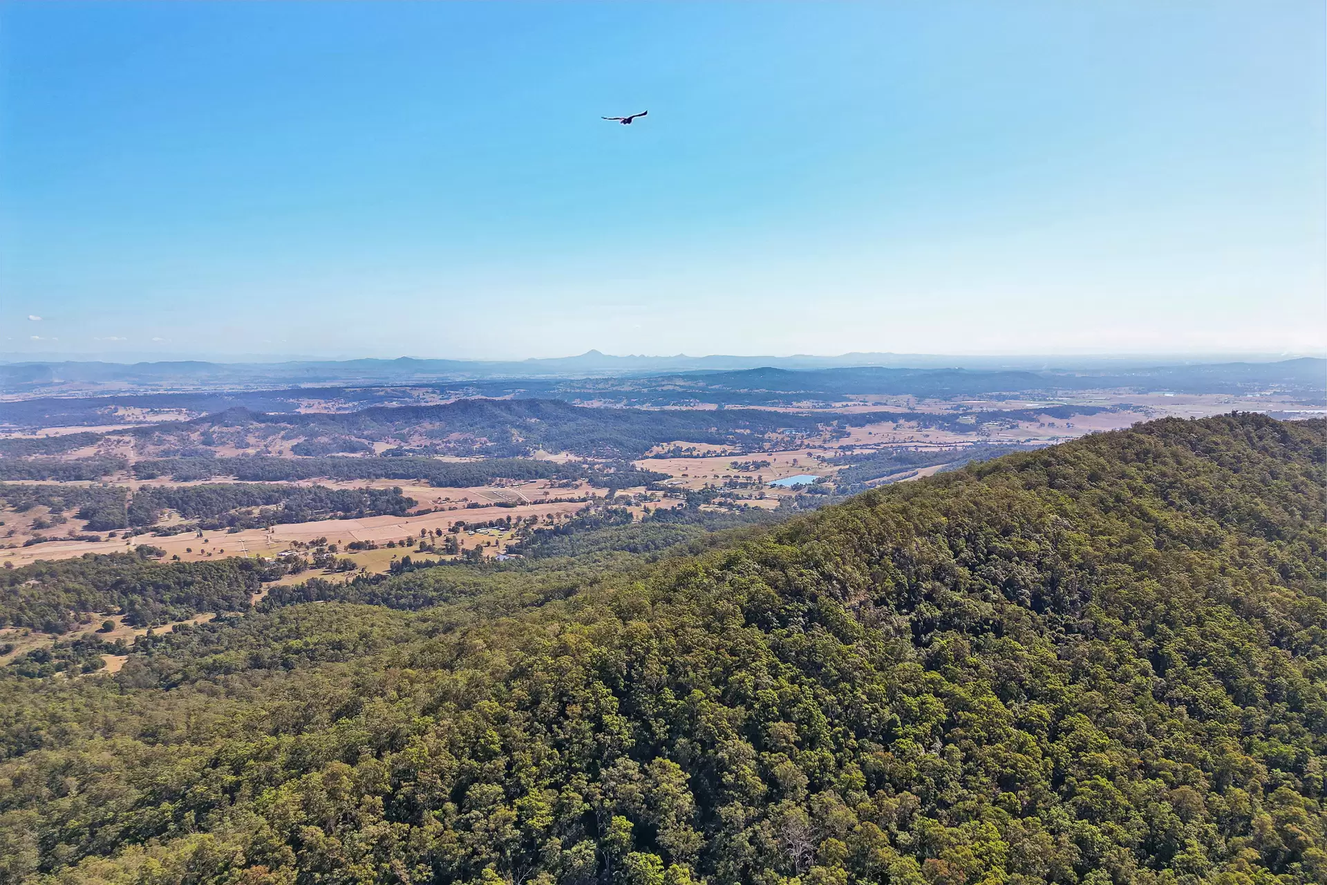 69  Regal Drive, Canungra Sold by  - image 1