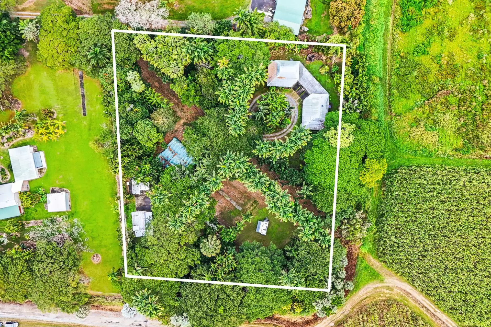 19 Palm Avenue, Mowbray Sold by Queensland Sotheby's International Realty - image 1