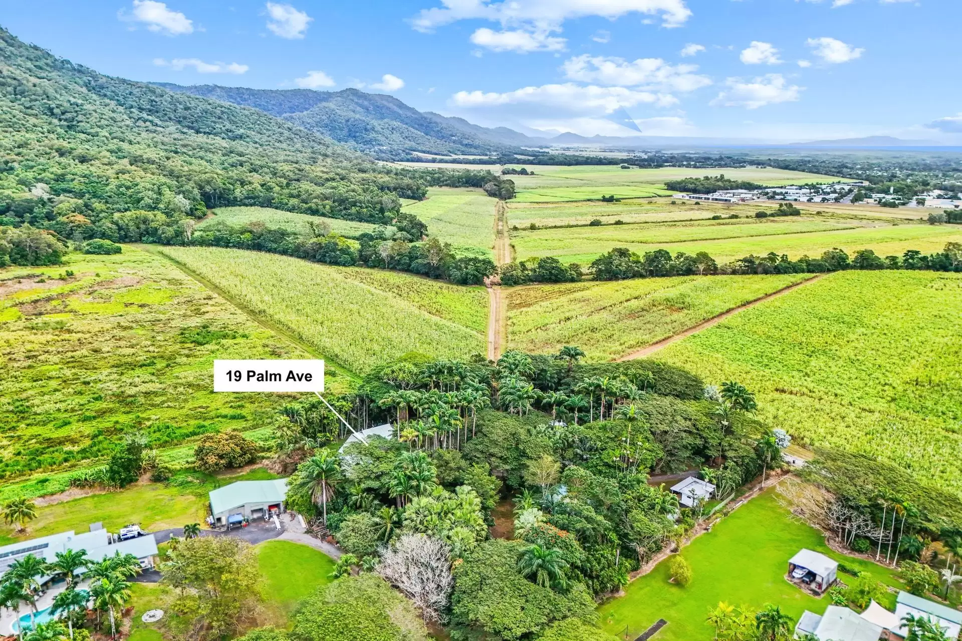 19 Palm Avenue, Mowbray Sold by Queensland Sotheby's International Realty - image 1