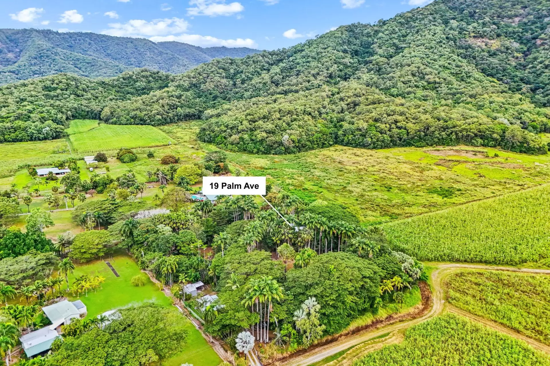 19 Palm Avenue, Mowbray Sold by Queensland Sotheby's International Realty - image 1