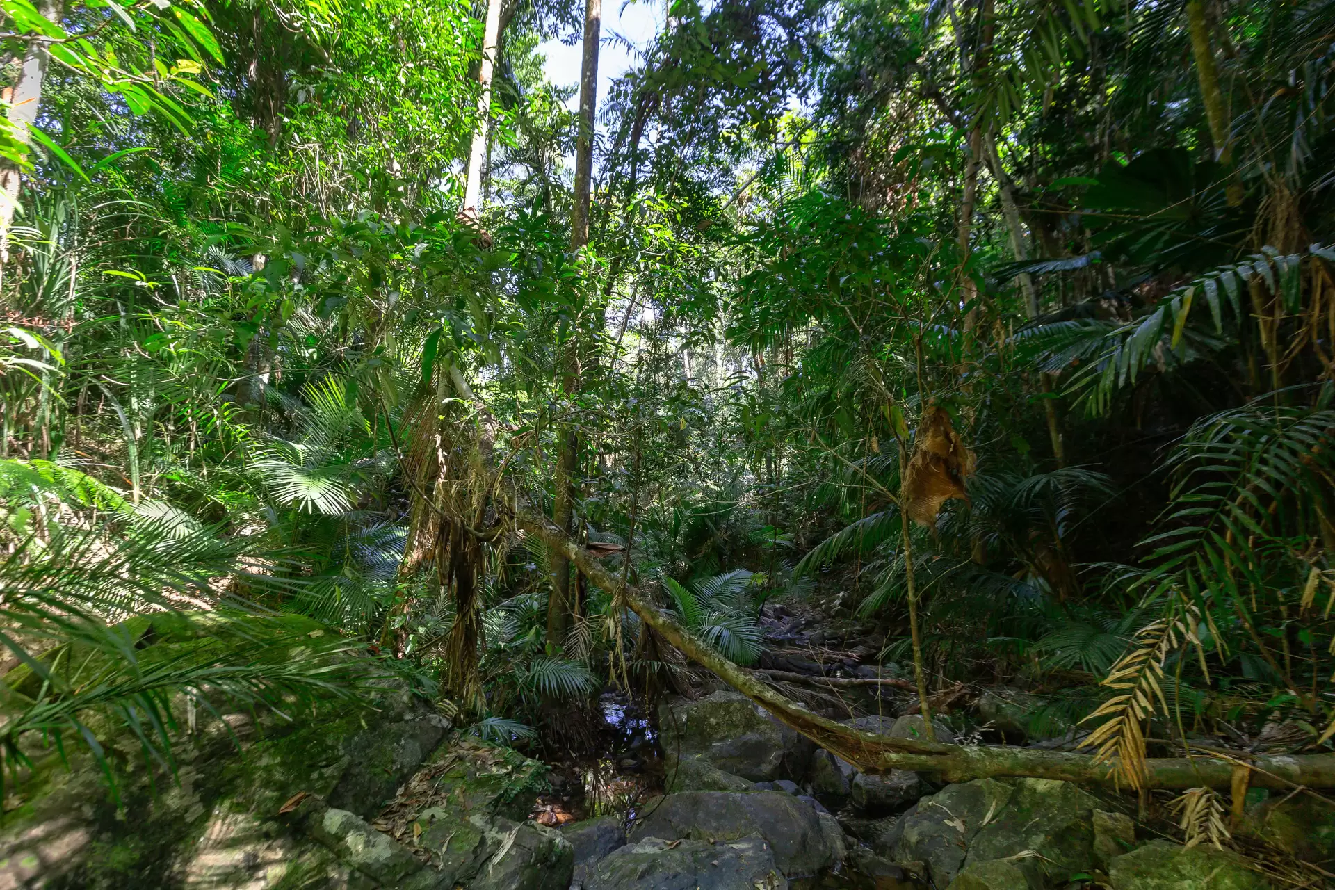 230 Forest Creek Road, Forest Creek Sold by  - image 1