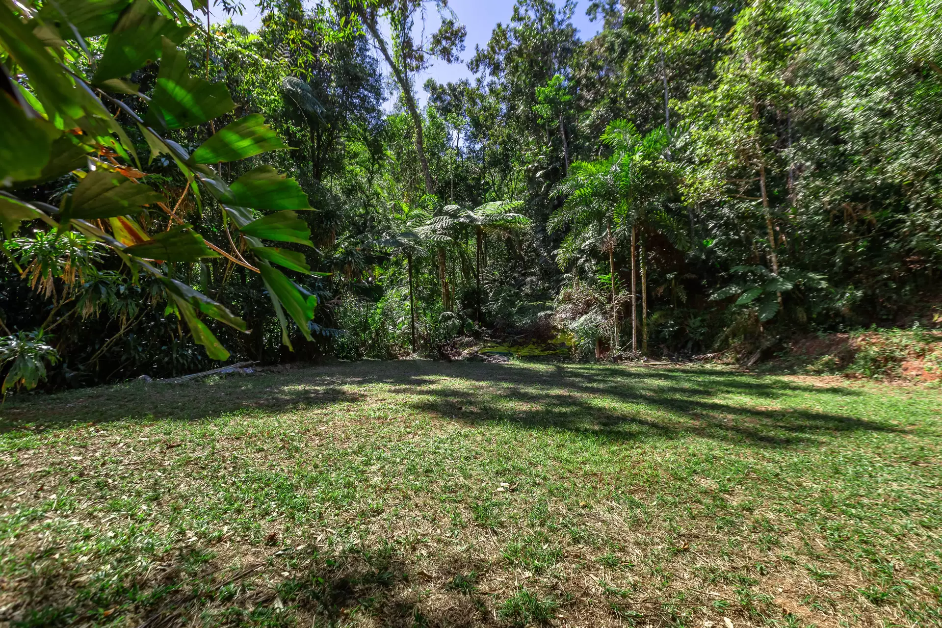 230 Forest Creek Road, Forest Creek Sold by Queensland Sotheby's International Realty - image 1