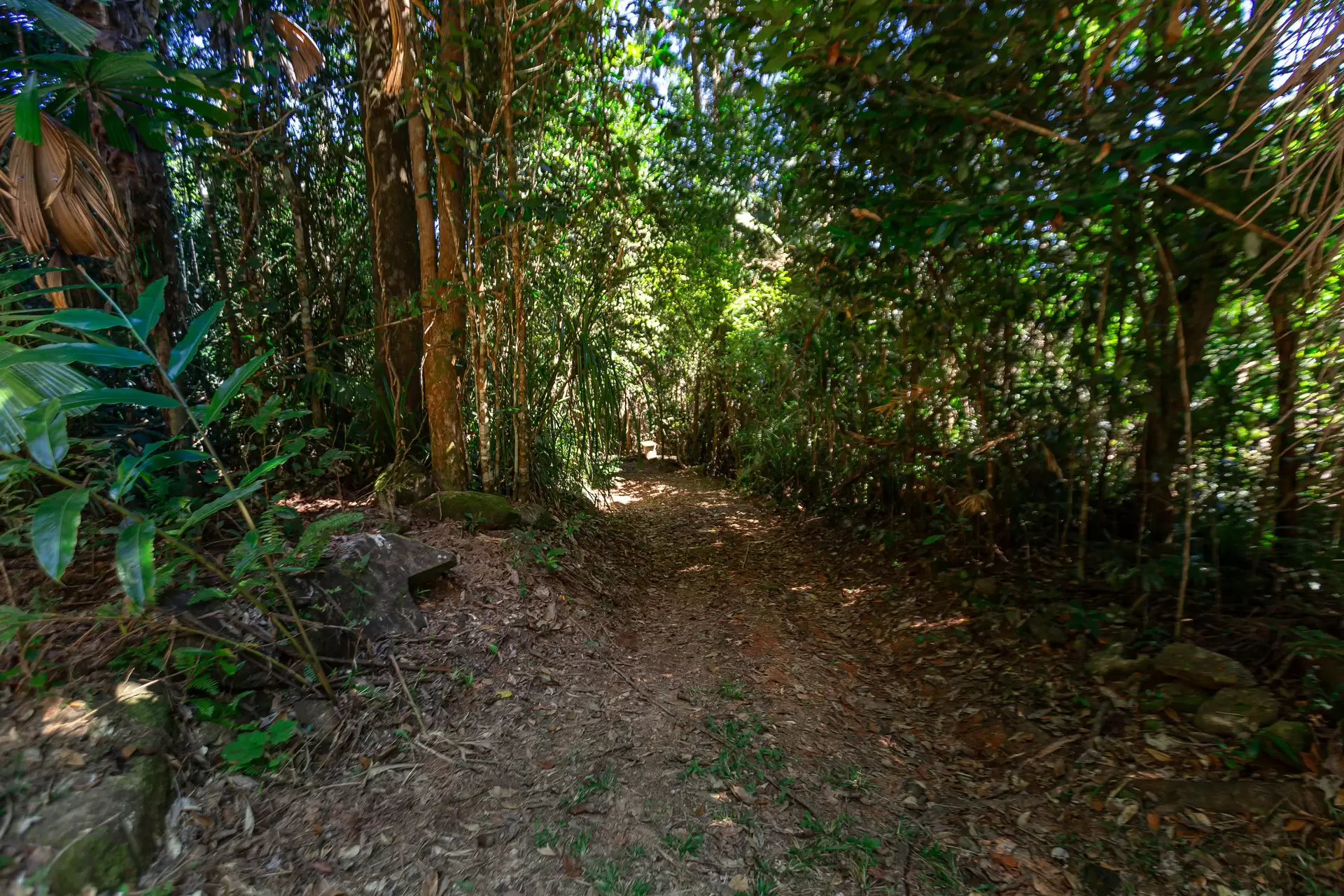 230 Forest Creek Road, Forest Creek Sold by Queensland Sotheby's International Realty - image 1
