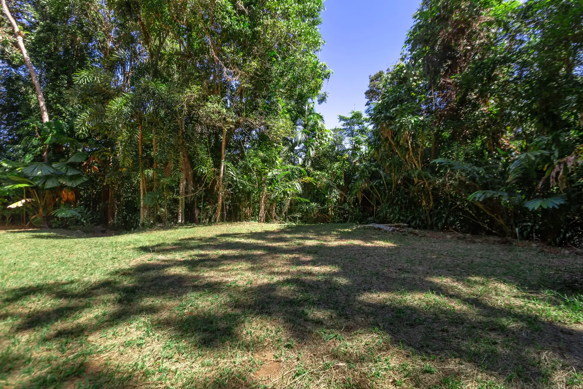 230 Forest Creek Road, Forest Creek Sold by Queensland Sotheby's International Realty - image 1