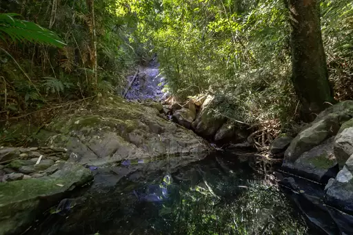 230 Forest Creek Road, Forest Creek Sold by Queensland Sotheby's International Realty