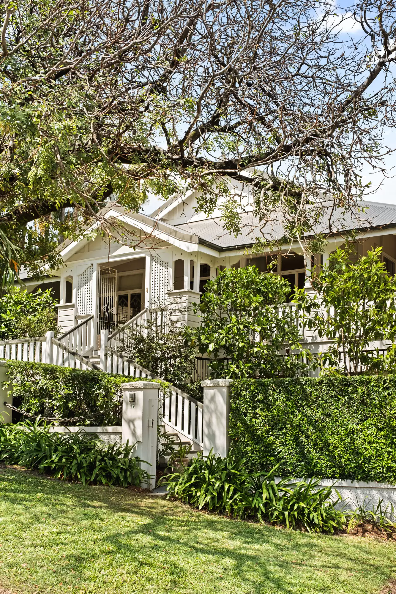 19 Rees Avenue, Clayfield Sold by Queensland Sotheby's International Realty - image 1