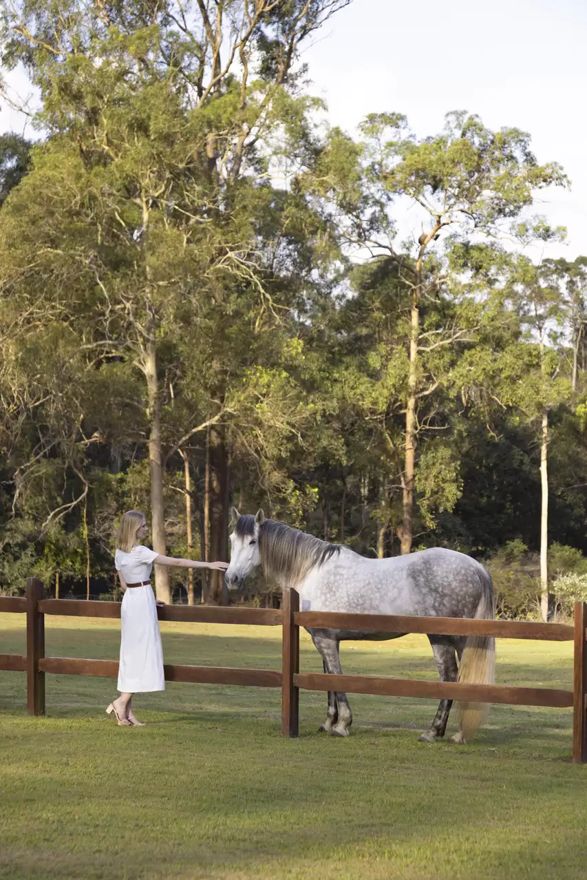 99 Ford Road, Rochedale Sold by Queensland Sotheby's International Realty - image 1