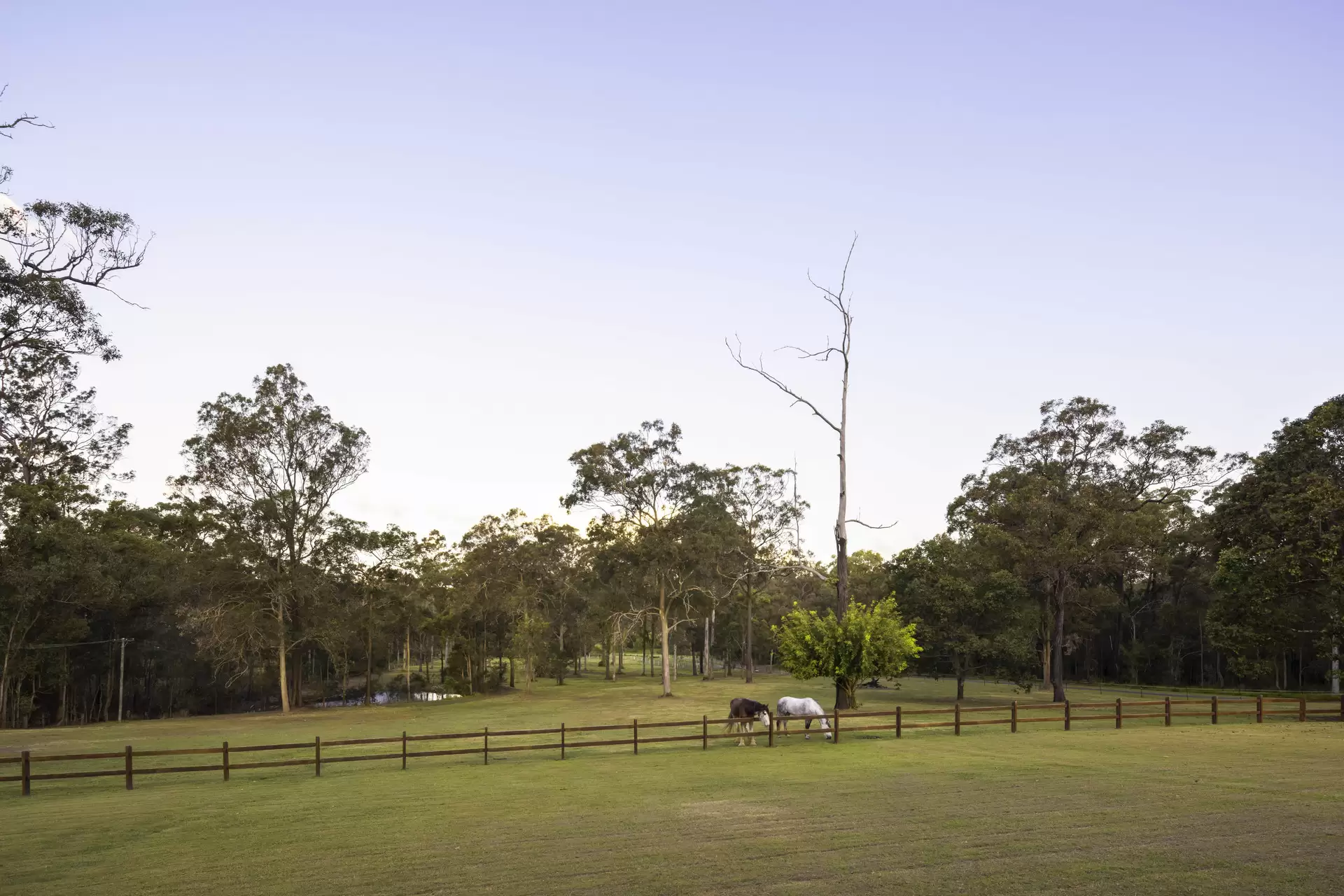 99 Ford Road, Rochedale Sold by Queensland Sotheby's International Realty - image 1