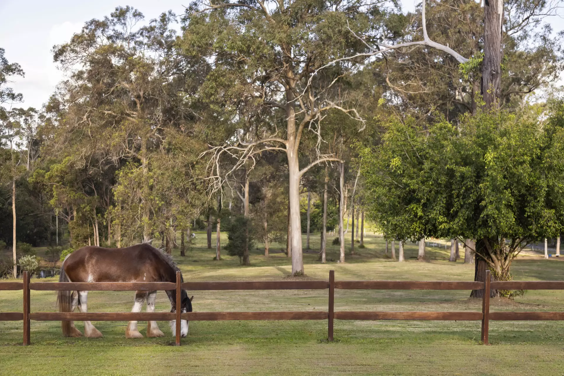 99 Ford Road, Rochedale Sold by  - image 1