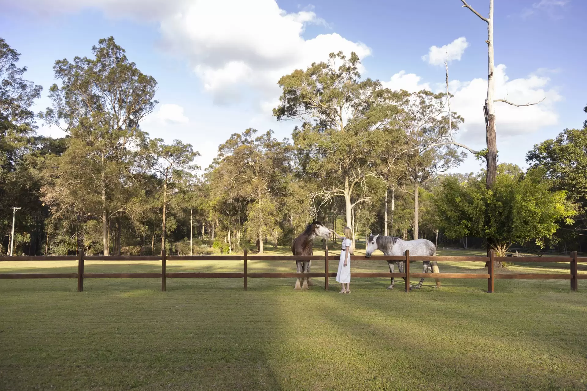 99 Ford Road, Rochedale Sold by  - image 1