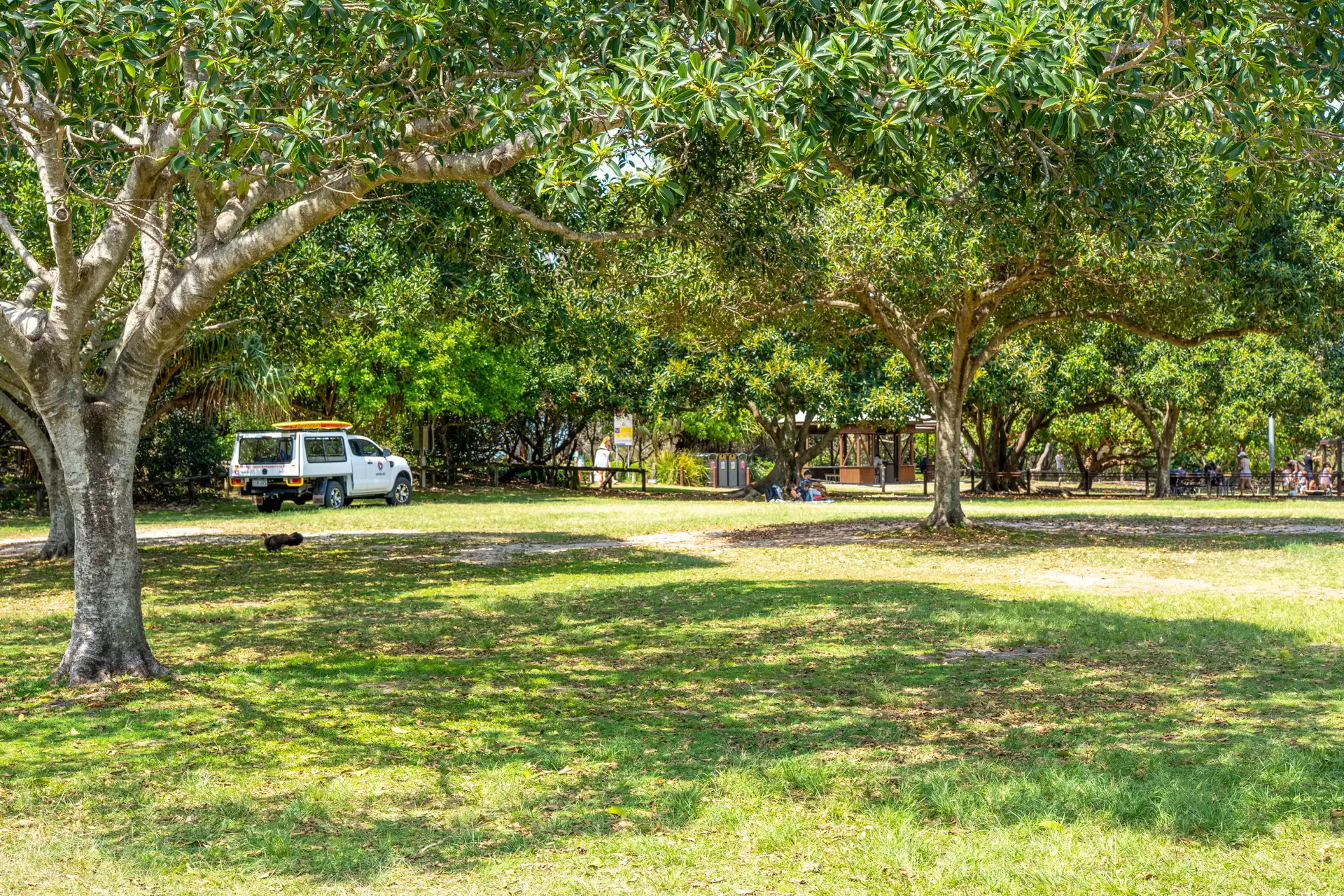 22 Annie Drive, Peregian Beach Sold by  - image 1