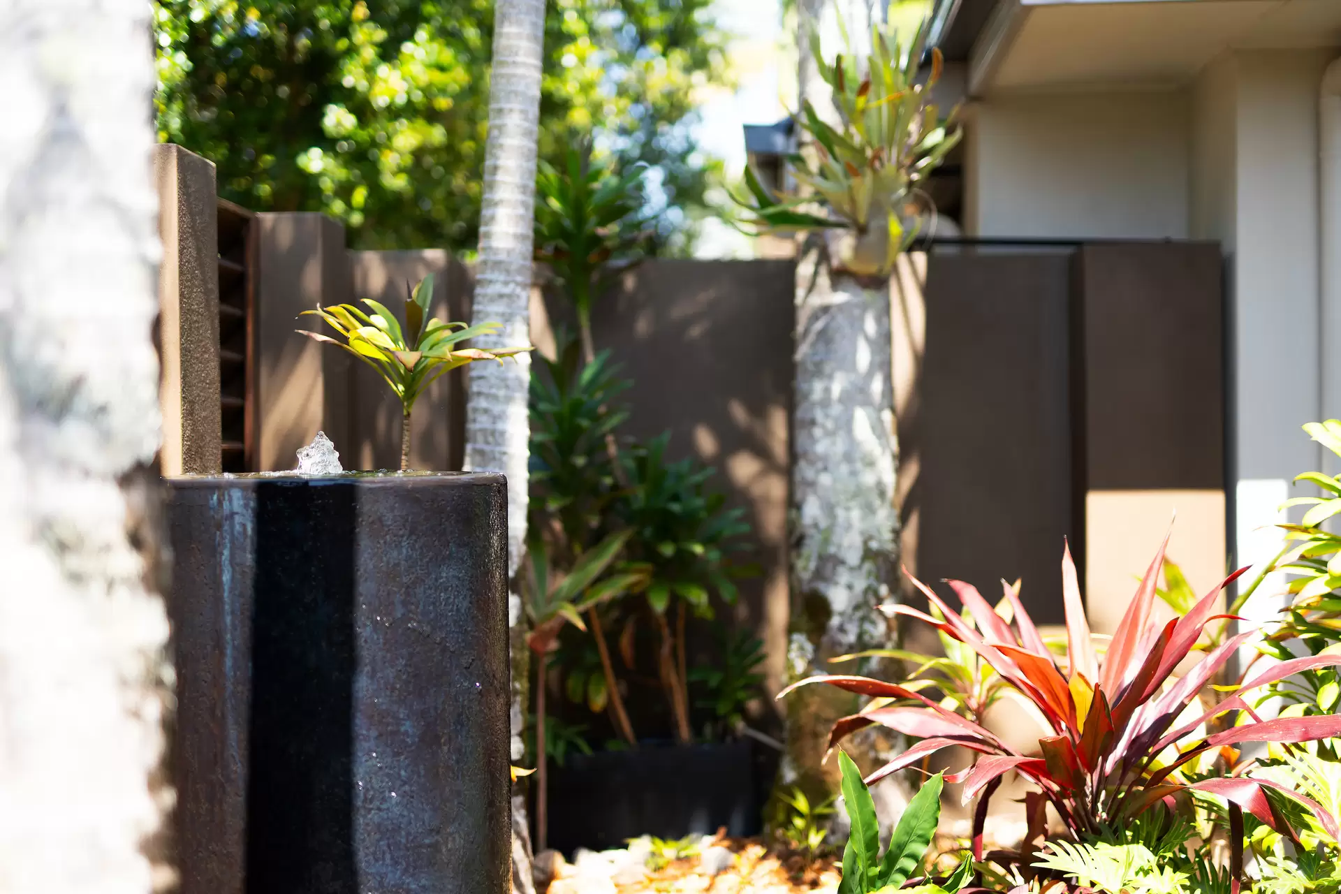 78 The Avenue, Peregian Springs Sold by Queensland Sotheby's International Realty - image 1