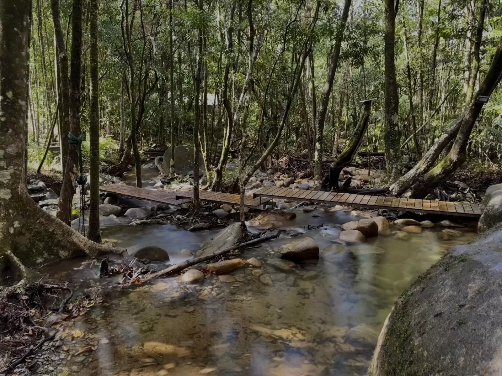 38 Stonewood Road, Cape Tribulation For Sale by Queensland Sotheby's International Realty - image 1