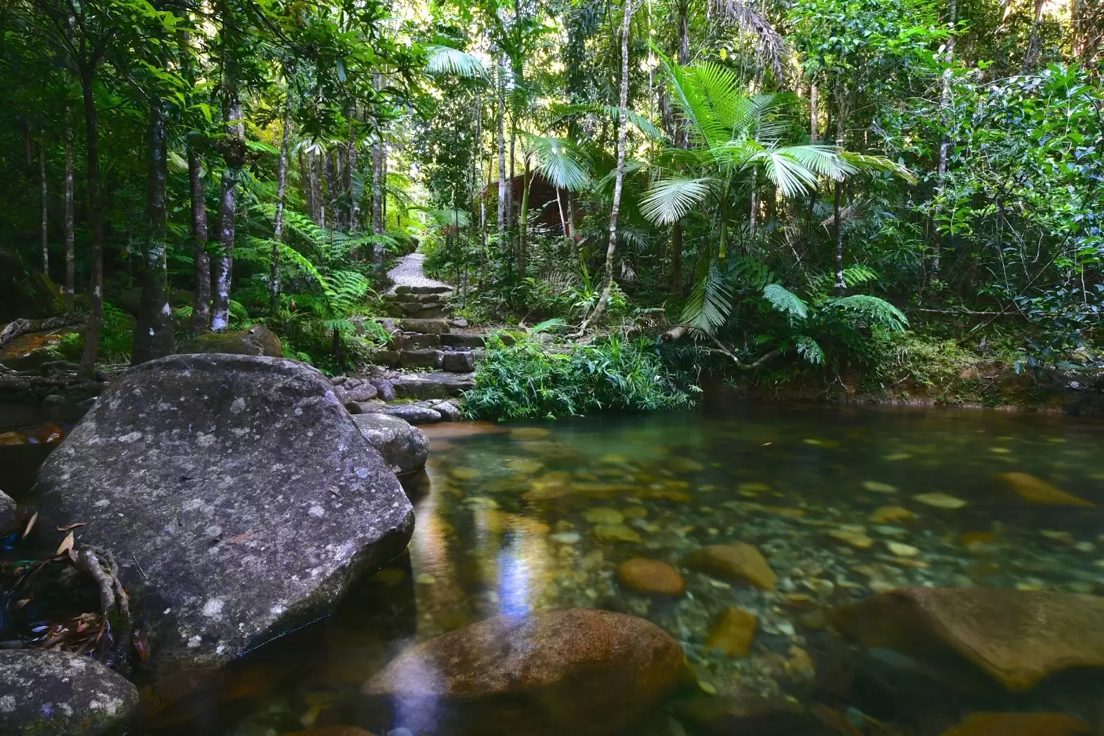 38 Stonewood Road, Cape Tribulation For Sale by Queensland Sotheby's International Realty - image 1