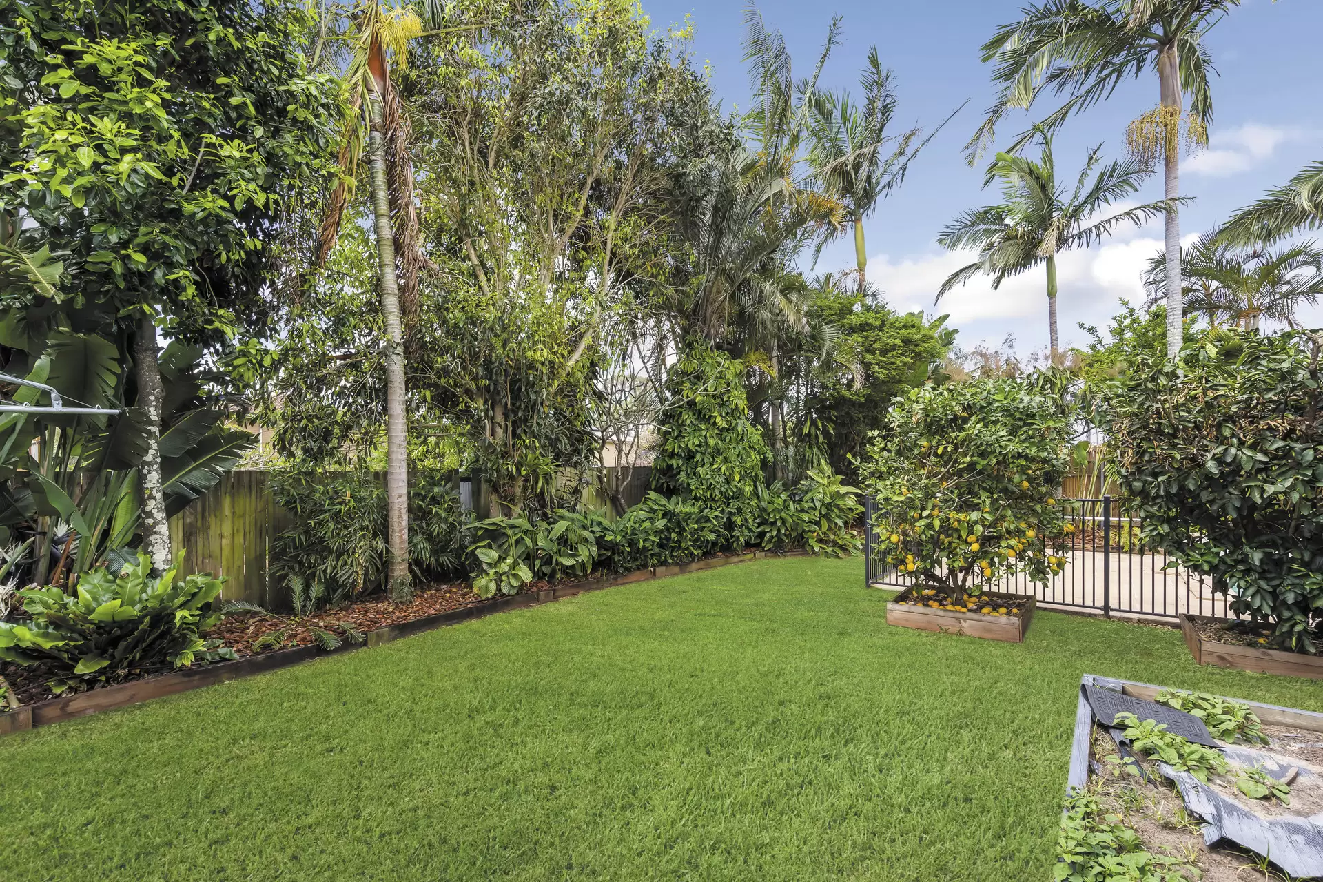 29 Hope Street, Ormiston Sold by Queensland Sotheby's International Realty - image 1