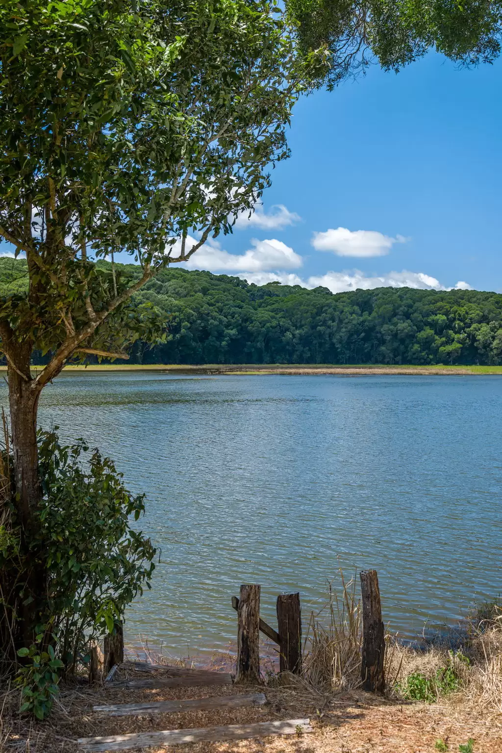 41 Henderson Road, Barrine Sold by  - image 1