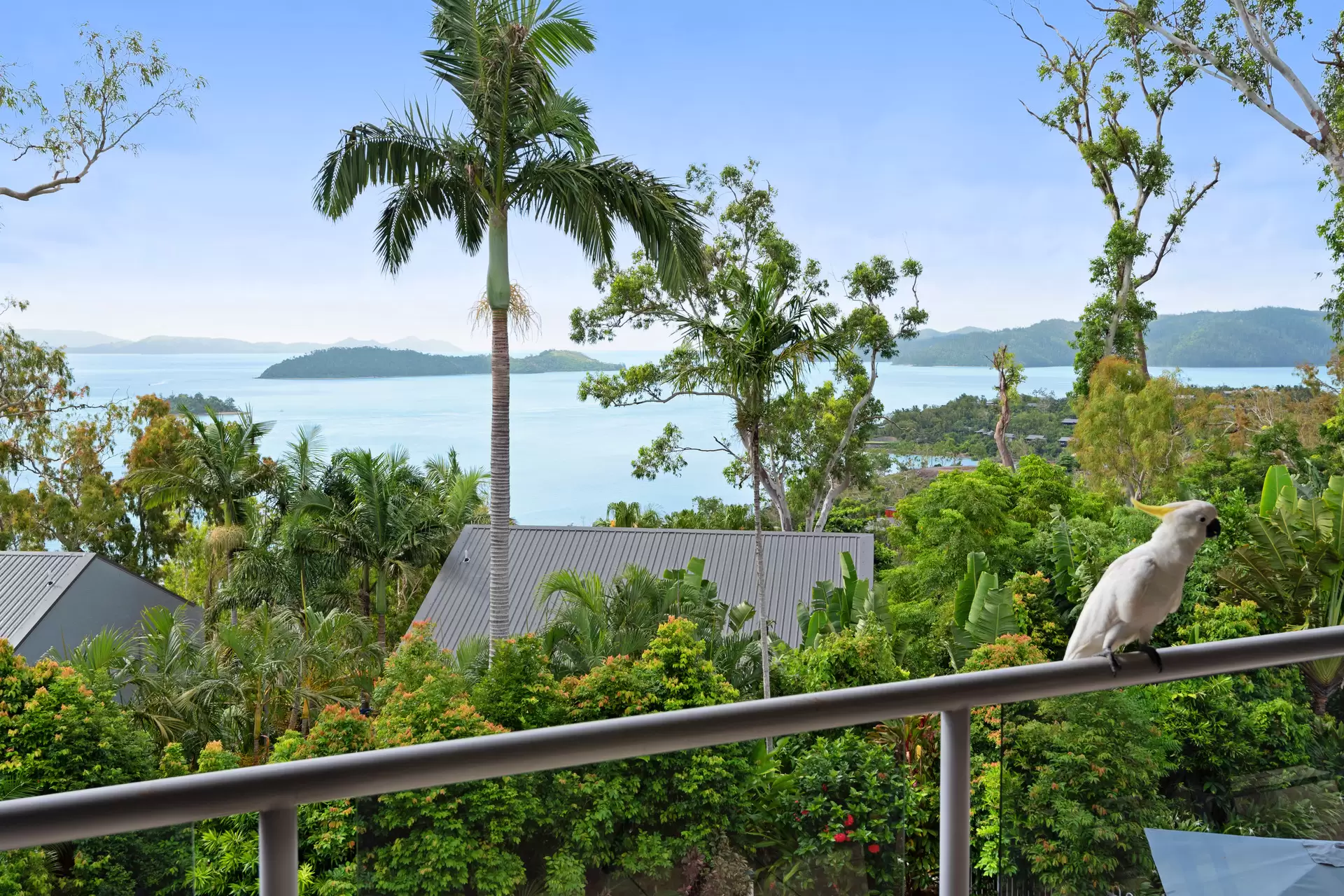11/2 Banksia Court, Hamilton Island Sold by Queensland Sotheby's International Realty - image 1