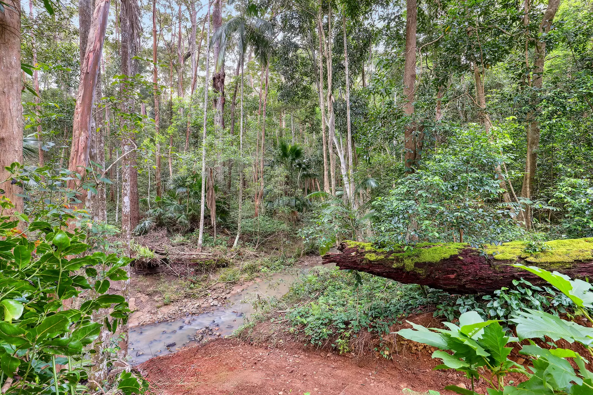 230A Trees Road, Tallebudgera Sold by  - image 1