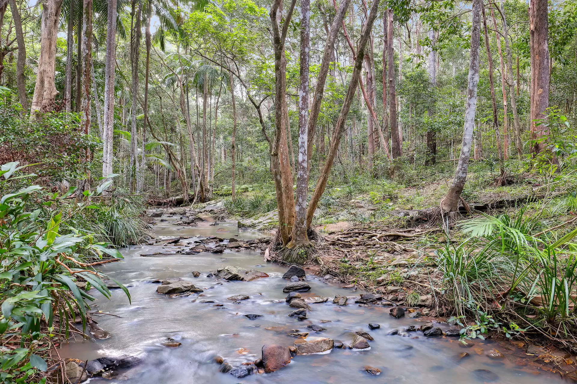 230A Trees Road, Tallebudgera Sold by  - image 1
