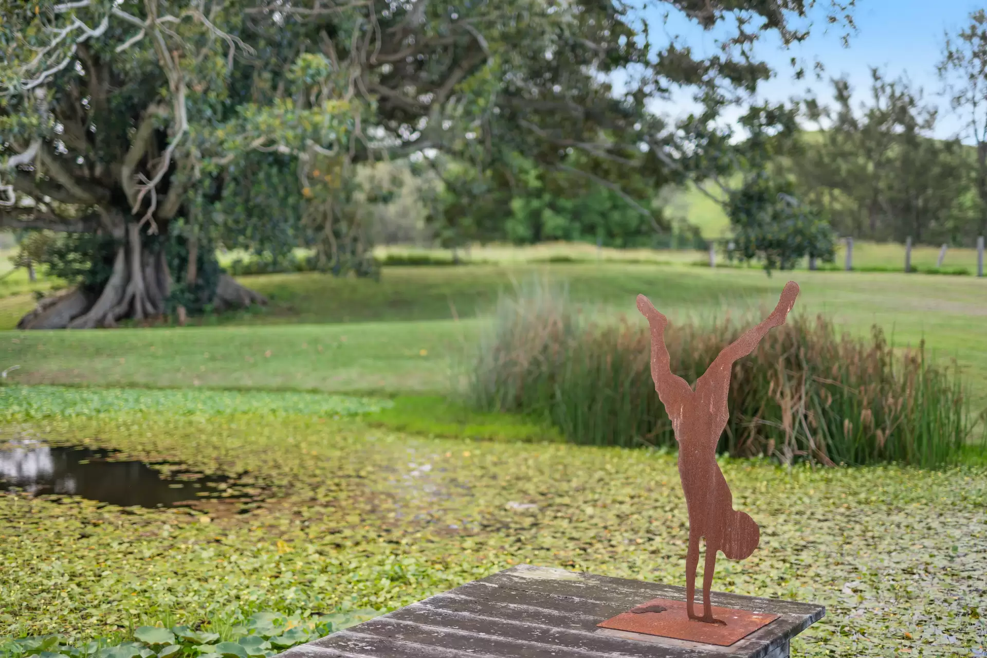 370 Walli Mountain Road, Kenilworth Sold by Queensland Sotheby's International Realty - image 1