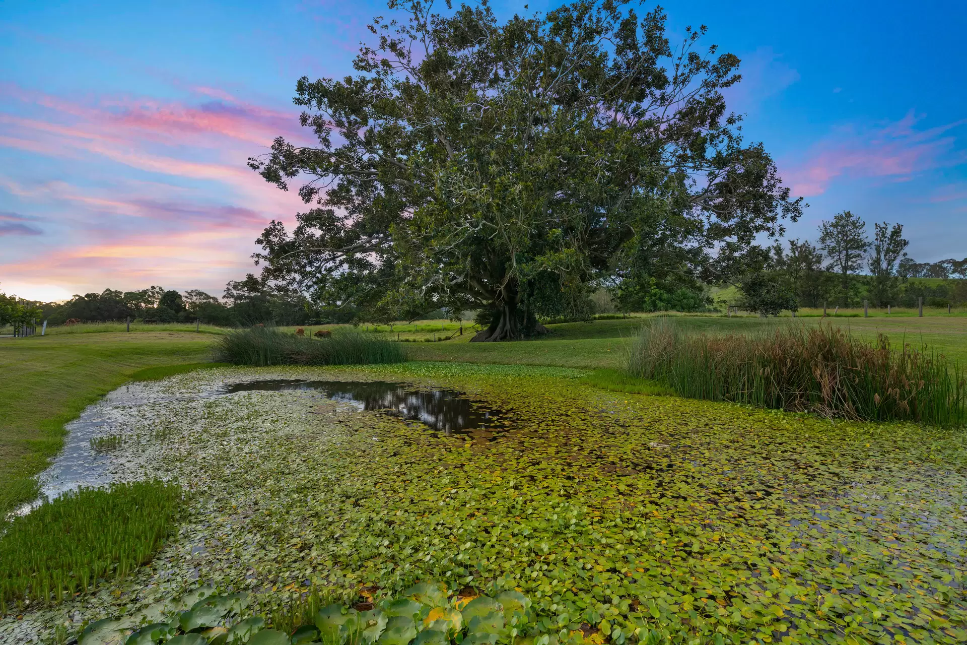 370 Walli Mountain Road, Kenilworth Sold by Queensland Sotheby's International Realty - image 1