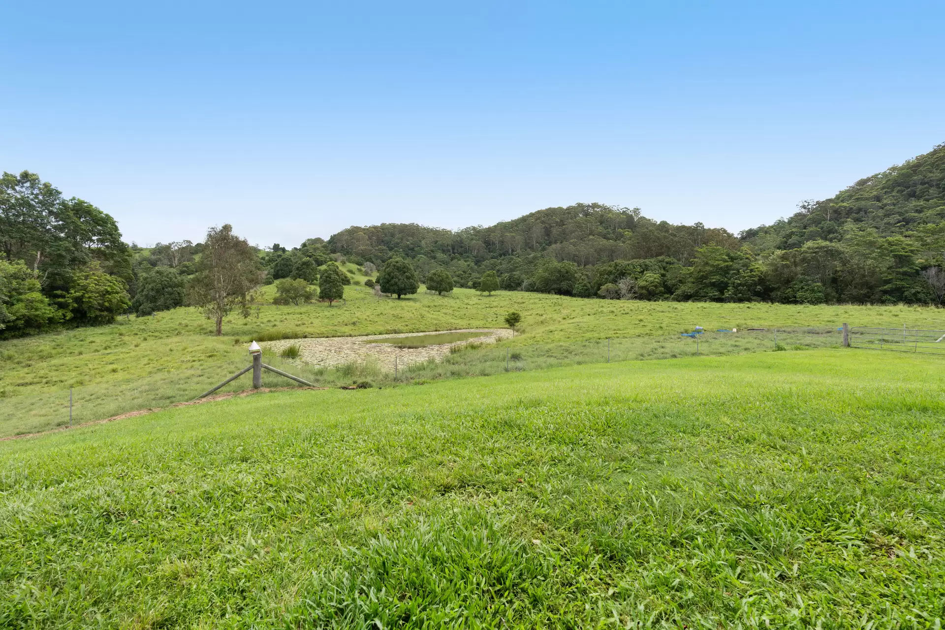 80 Musavale Road, Eerwah Vale Sold by Queensland Sotheby's International Realty - image 1