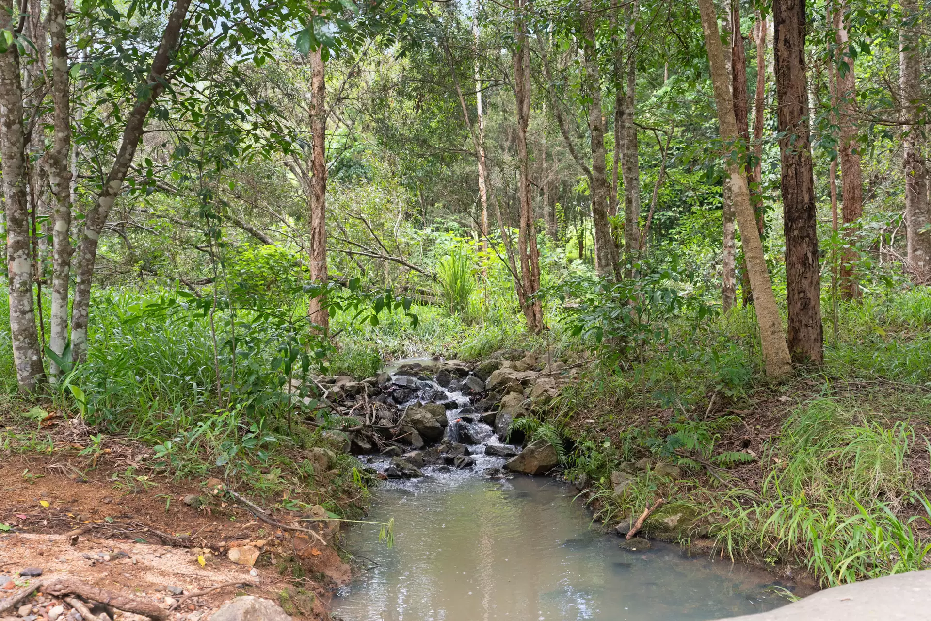 80 Musavale Road, Eerwah Vale Sold by Queensland Sotheby's International Realty - image 1