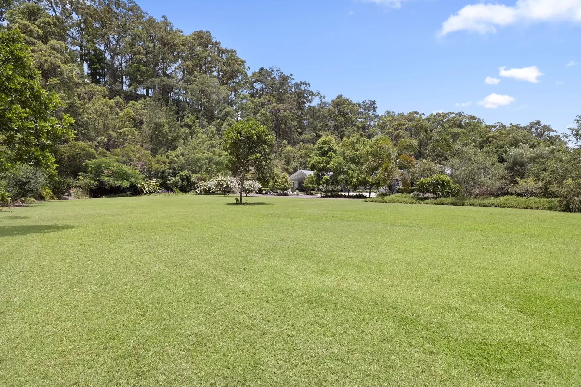 493 Paynters Creek Road, Rosemount Sold by Queensland Sotheby's International Realty - image 1