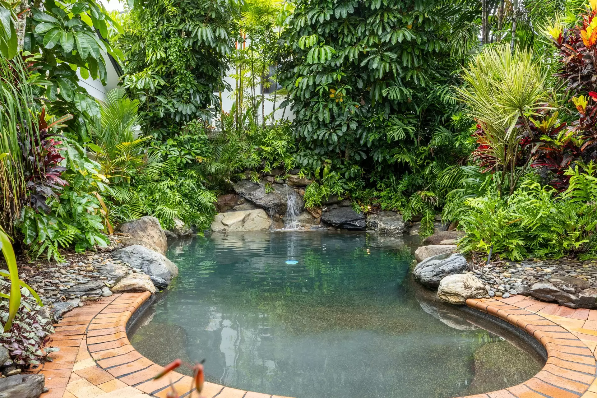9 Trochus Close, Port Douglas Sold by Queensland Sotheby's International Realty - image 1