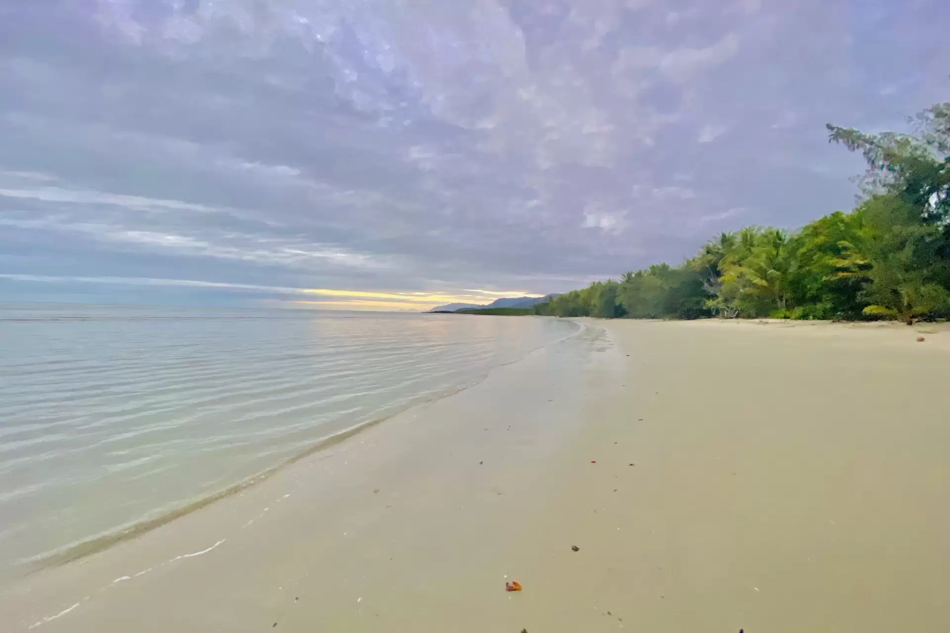 9 Trochus Close, Port Douglas Sold by Queensland Sotheby's International Realty - image 1