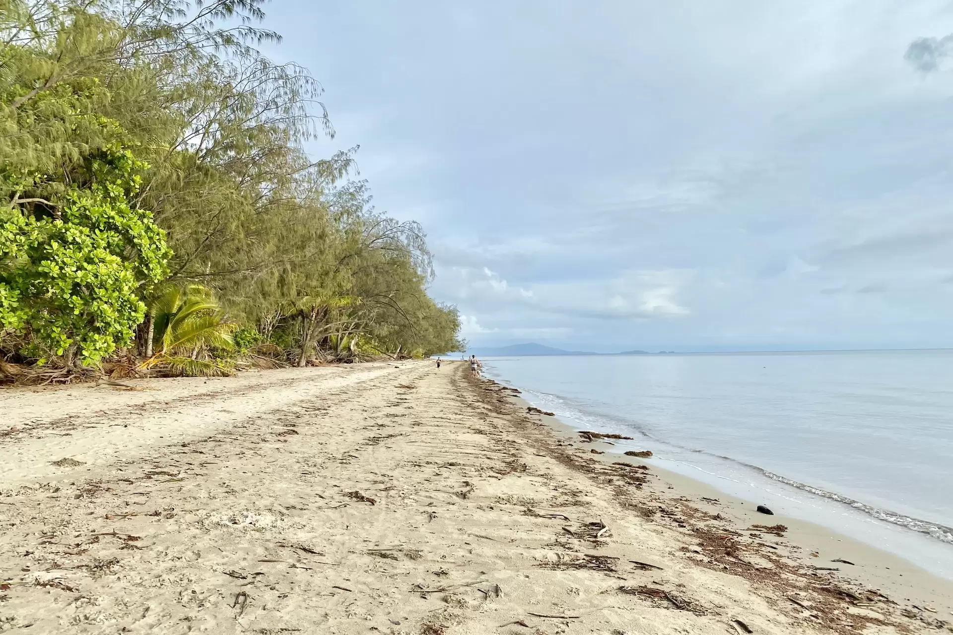 9 Trochus Close, Port Douglas Sold by Queensland Sotheby's International Realty - image 1