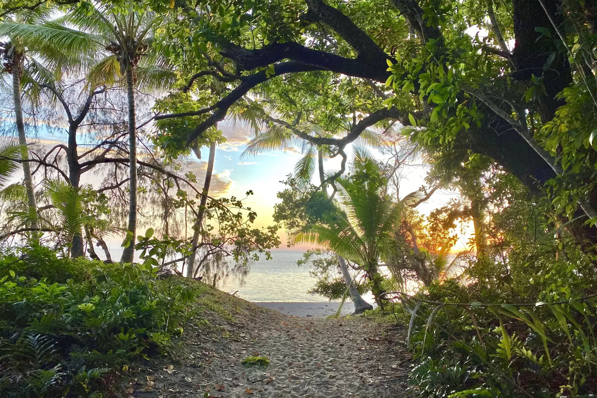 9 Trochus Close, Port Douglas Sold by Queensland Sotheby's International Realty - image 1