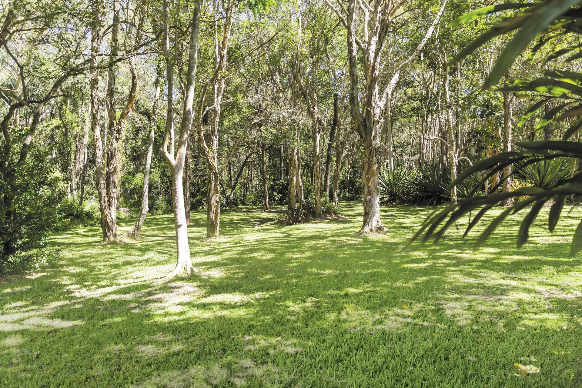 8 Viola Drive, Redland Bay Sold by Queensland Sotheby's International Realty - image 1