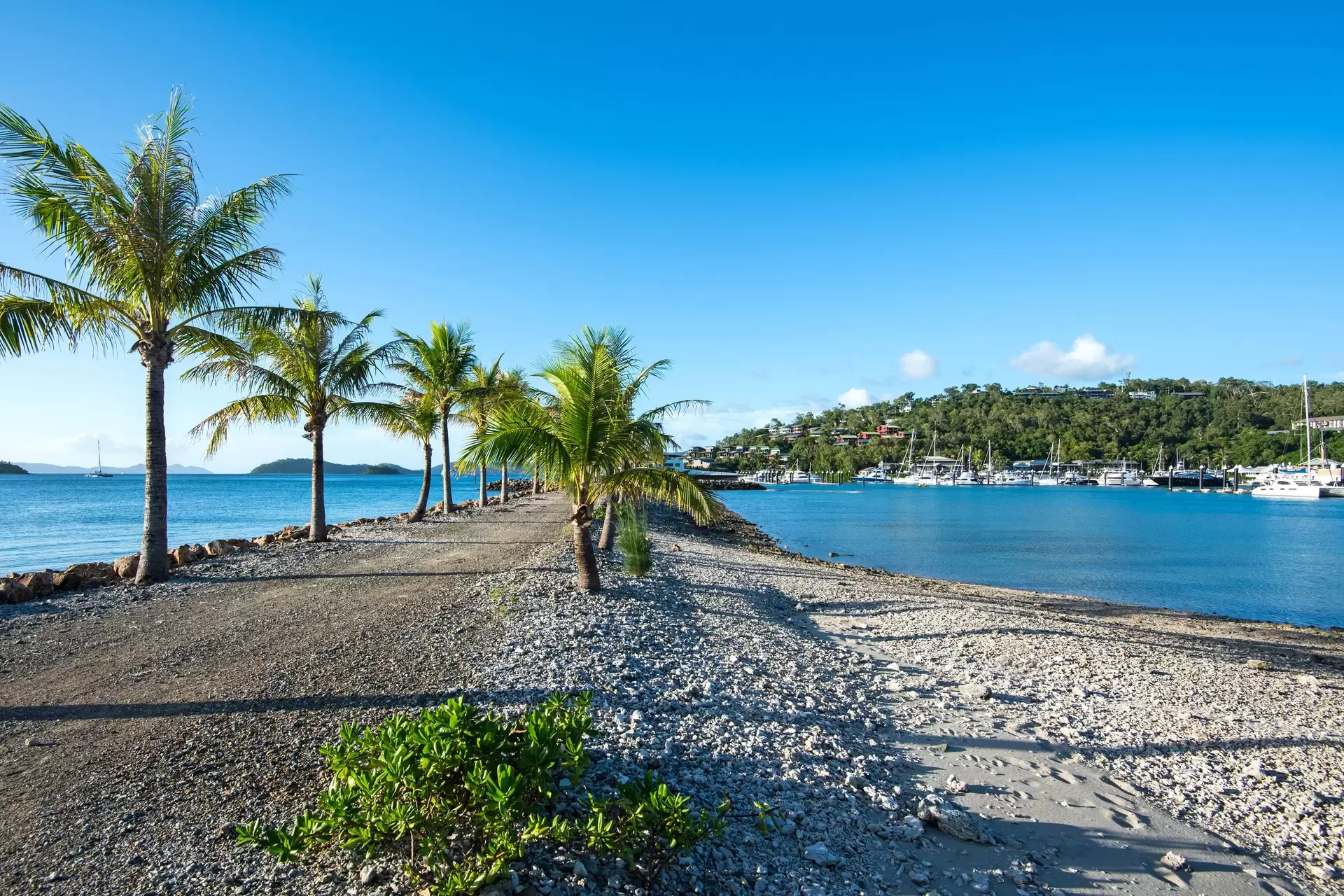 1 Dianella Close, Hamilton Island For Sale by  - image 1