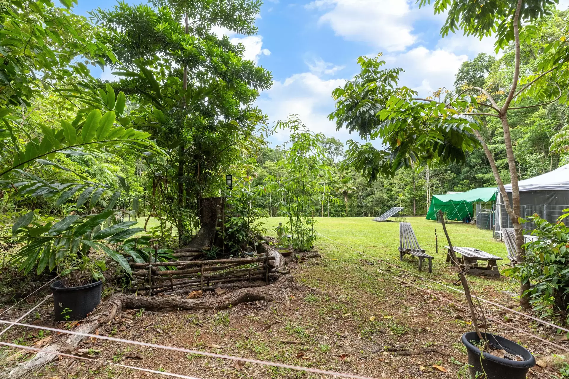 57 Camelot Close, Cape Tribulation Sold by Queensland Sotheby's International Realty - image 1