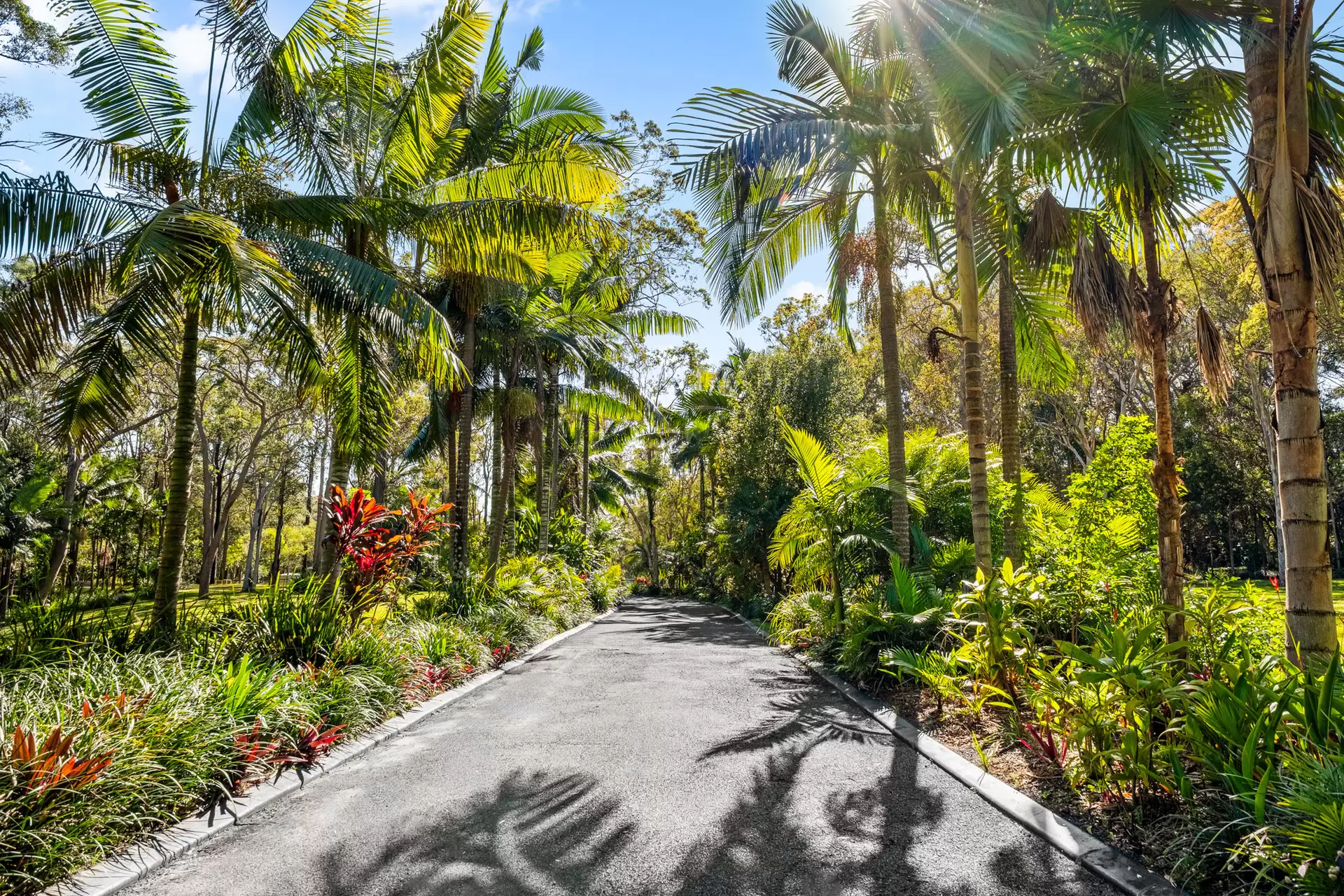 96 Eastwood Street, Chandler Sold by Queensland Sotheby's International Realty - image 1