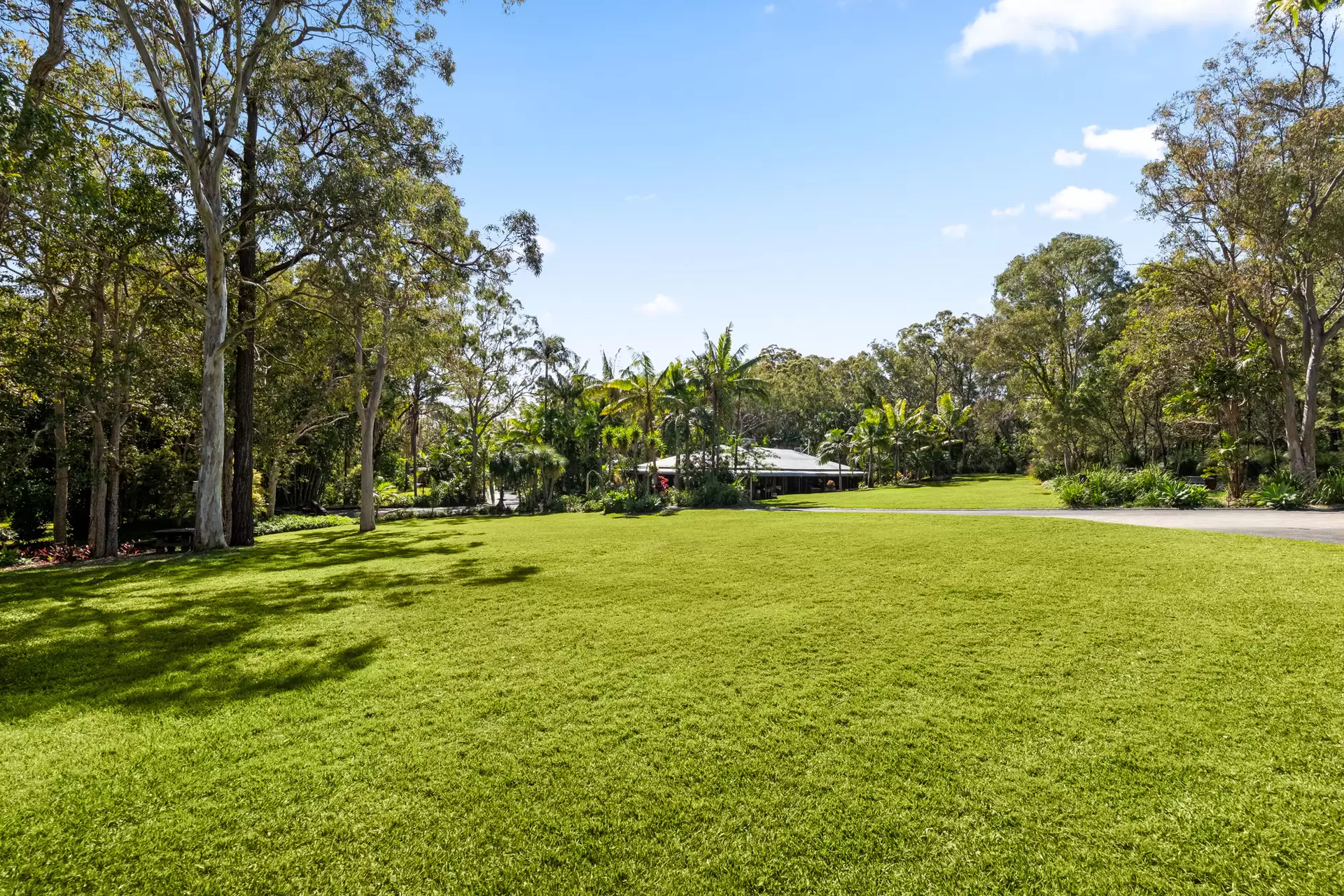 96 Eastwood Street, Chandler Sold by Queensland Sotheby's International Realty - image 1