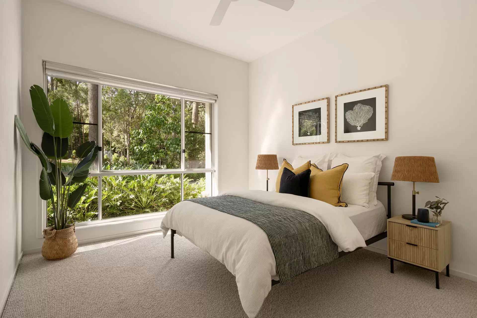 129 Charleton Street, Chandler Sold by Queensland Sotheby's International Realty - image 1