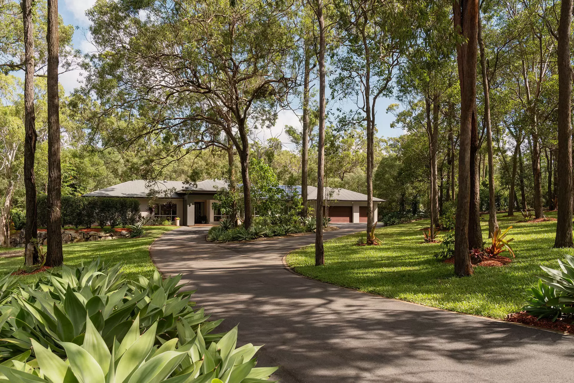 129 Charleton Street, Chandler Sold by Queensland Sotheby's International Realty - image 1