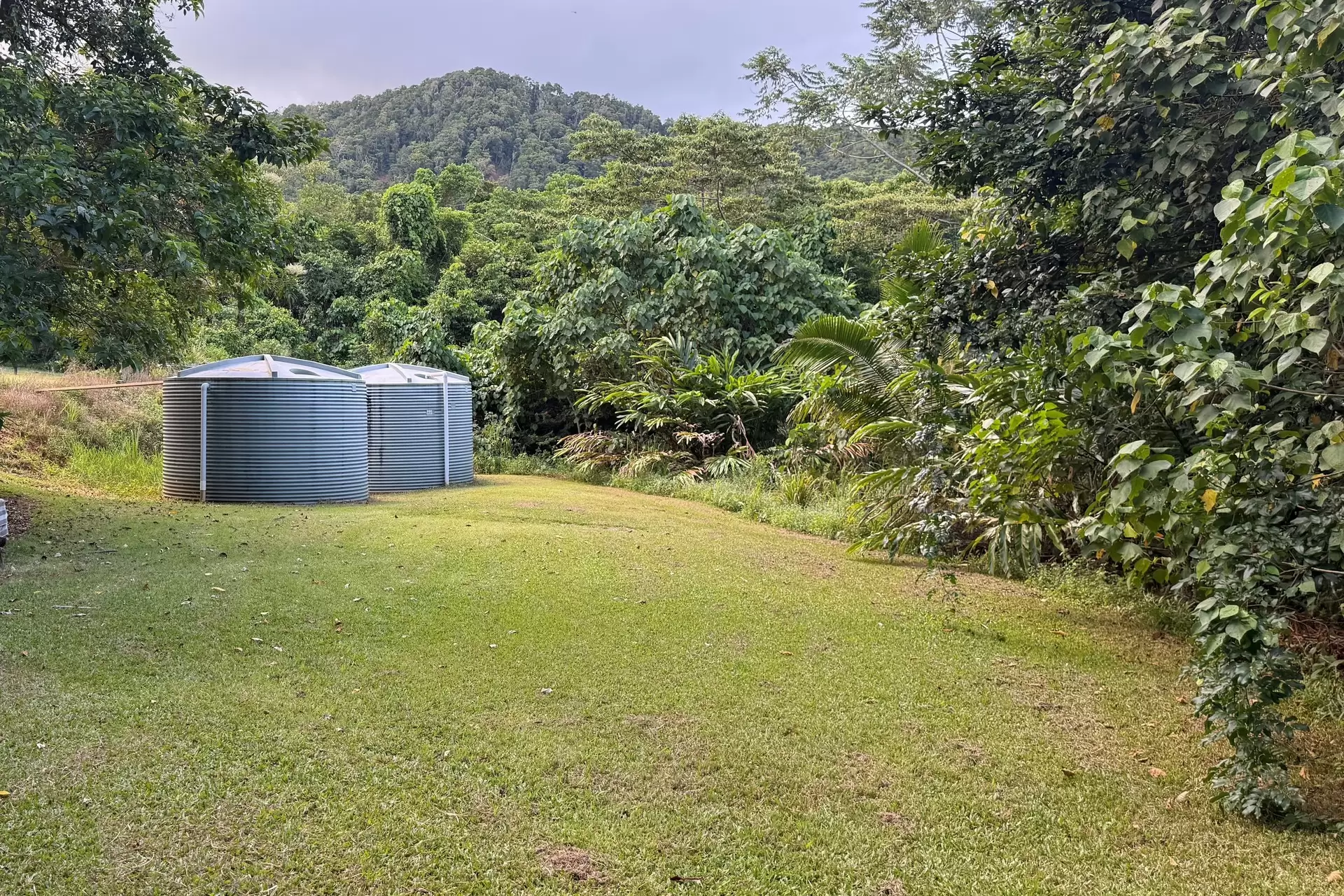 55 Nicole Drive, Cape Tribulation For Sale by Queensland Sotheby's International Realty - image 1