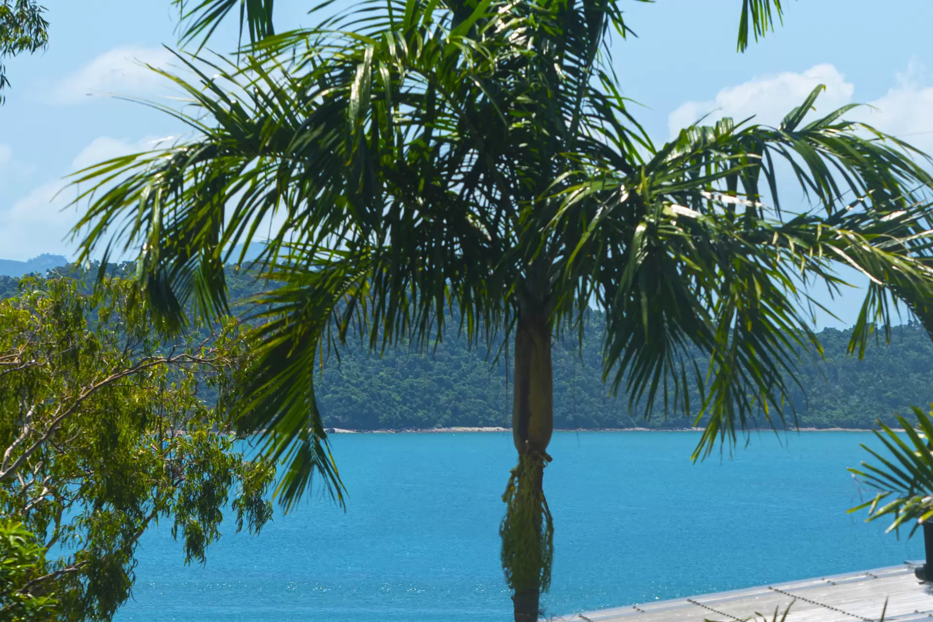 4 Banksia Court, Hamilton Island Sold by Queensland Sotheby's International Realty - image 1