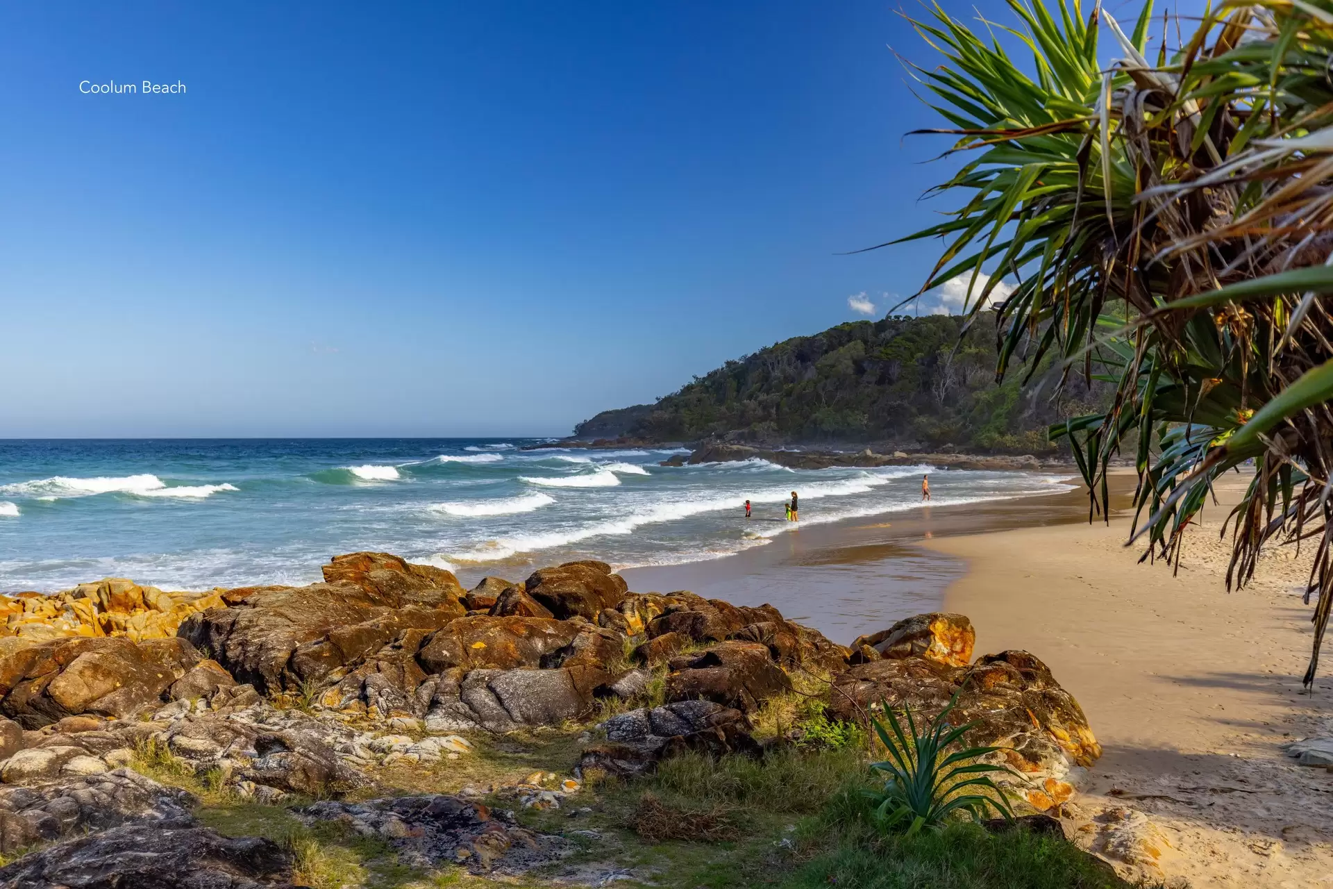 4 Tea Tree Grove, Peregian Springs Sold by Queensland Sotheby's International Realty - image 1