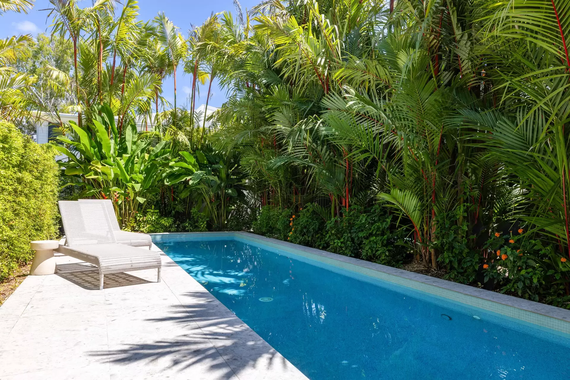 6 Rachel Carson Lane, Port Douglas Sold by Queensland Sotheby's International Realty - image 1