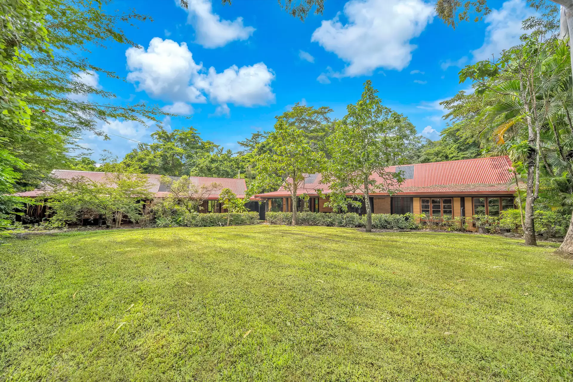87-93 Jubilee Pocket Road, Jubilee Pocket Sold by Queensland Sotheby's International Realty - image 1