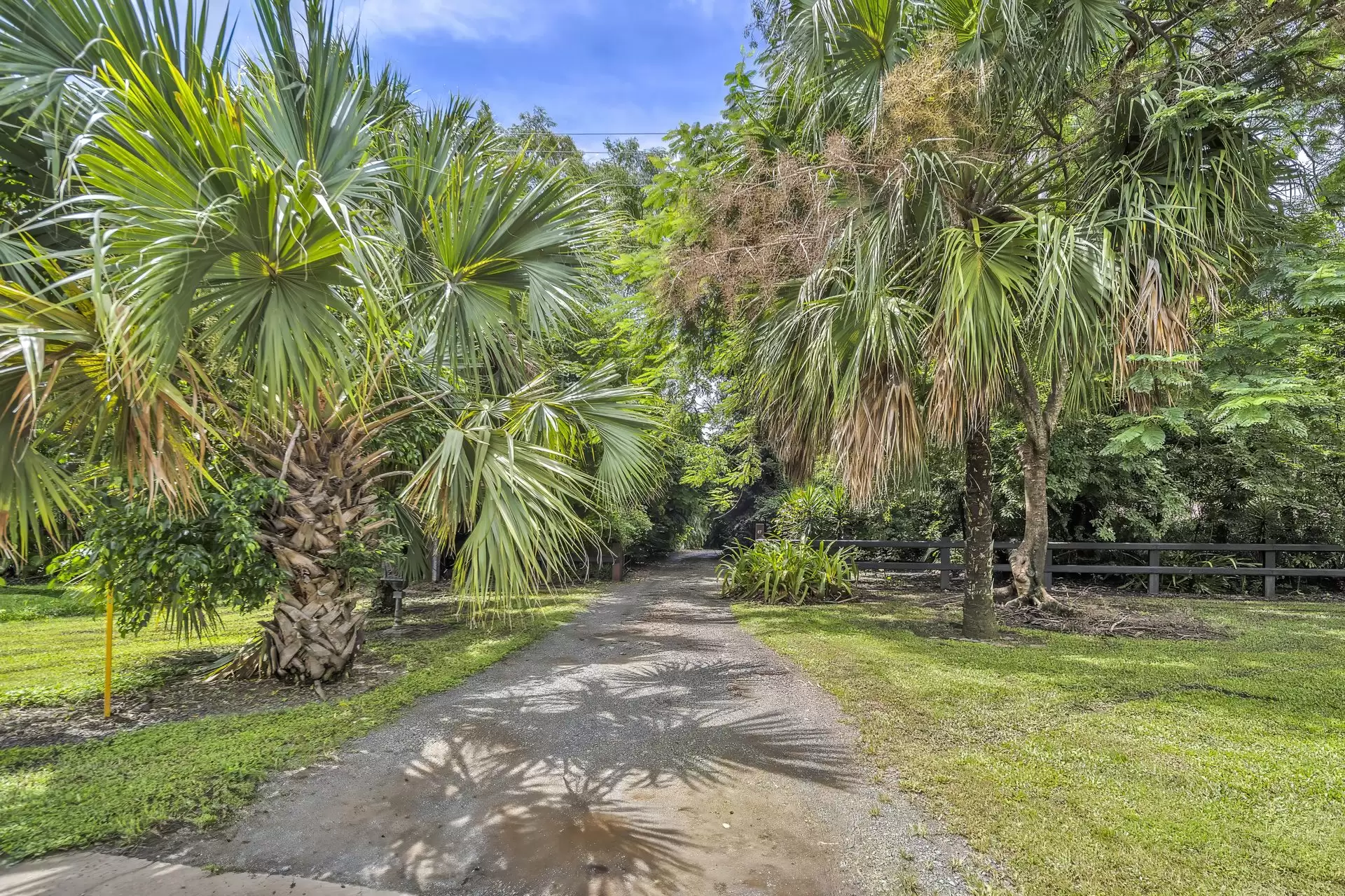 87-93 Jubilee Pocket Road, Jubilee Pocket Sold by Queensland Sotheby's International Realty - image 1