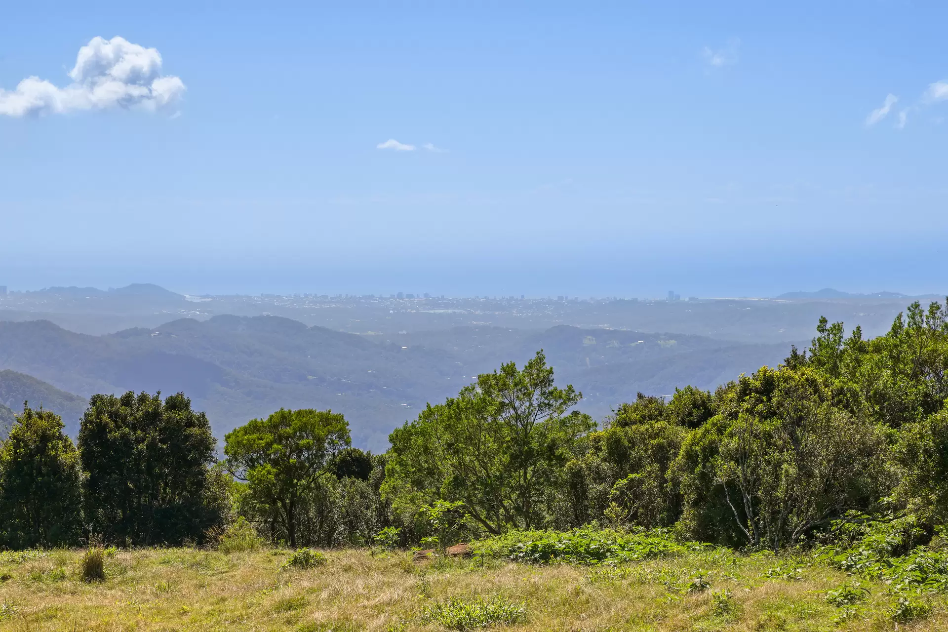 3000 Springbrook Road, Springbrook Sold by  - image 1