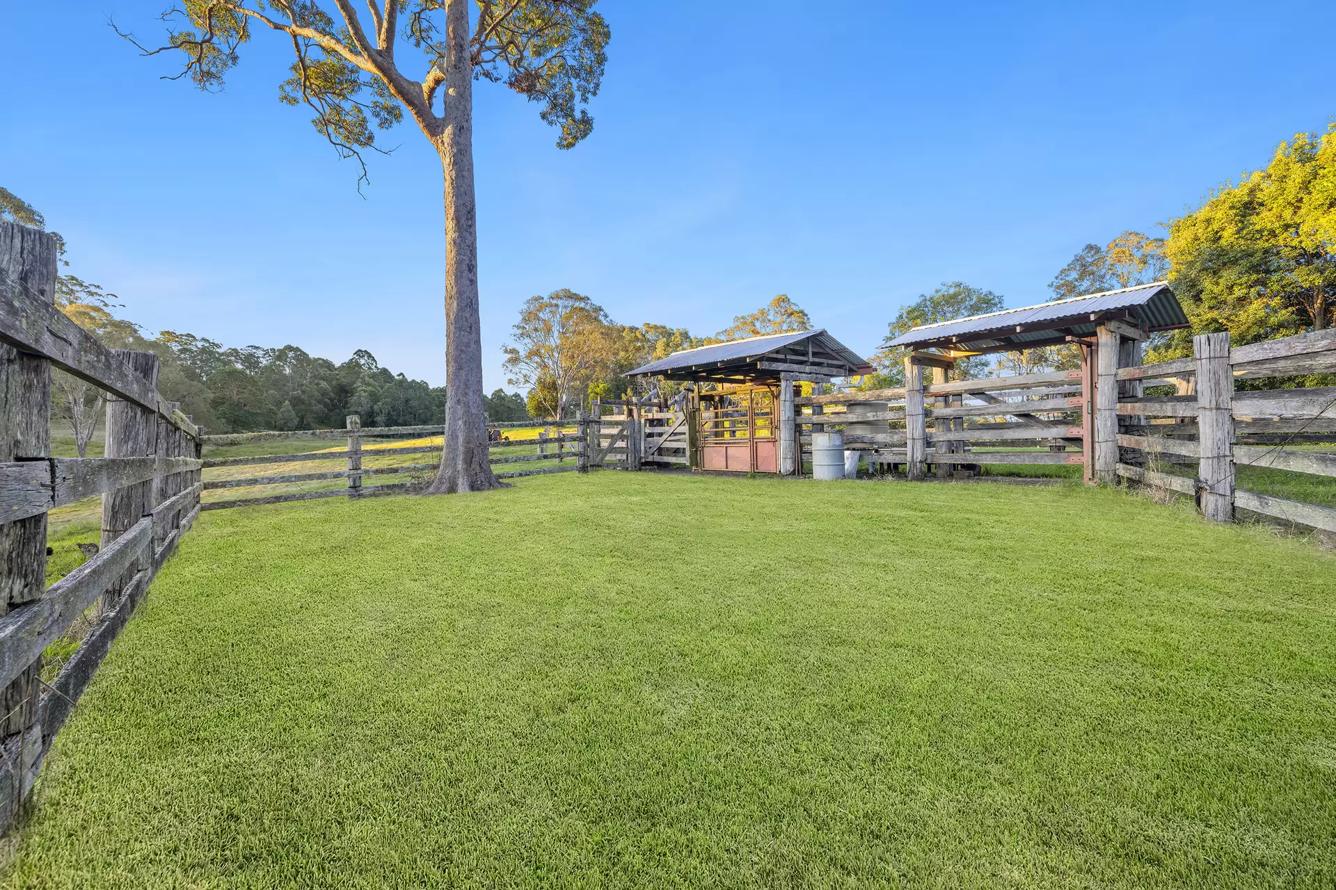 124 Austin Road, Mount Mee Sold by Queensland Sotheby's International Realty - image 1