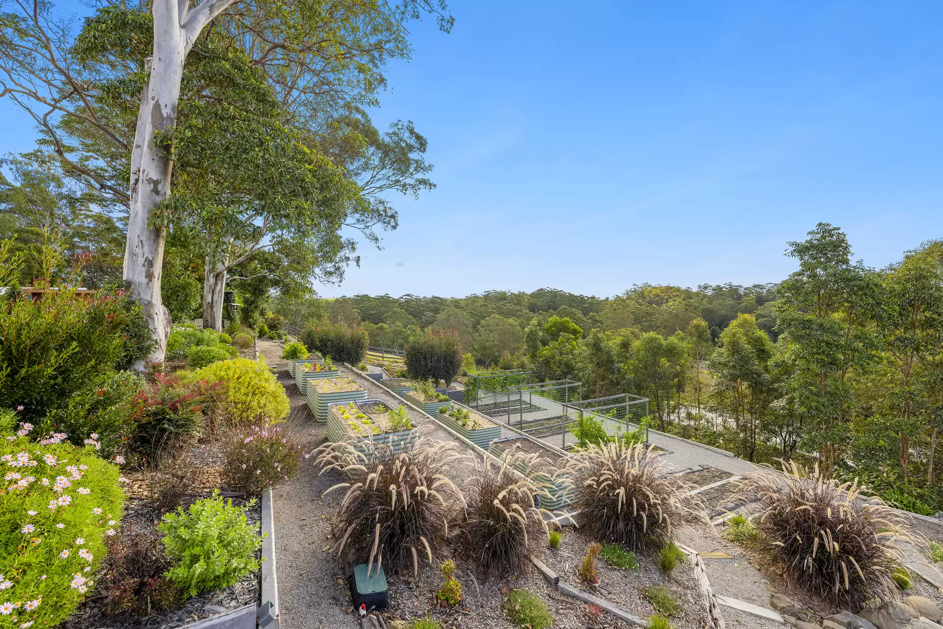 124 Austin Road, Mount Mee Sold by Queensland Sotheby's International Realty - image 1