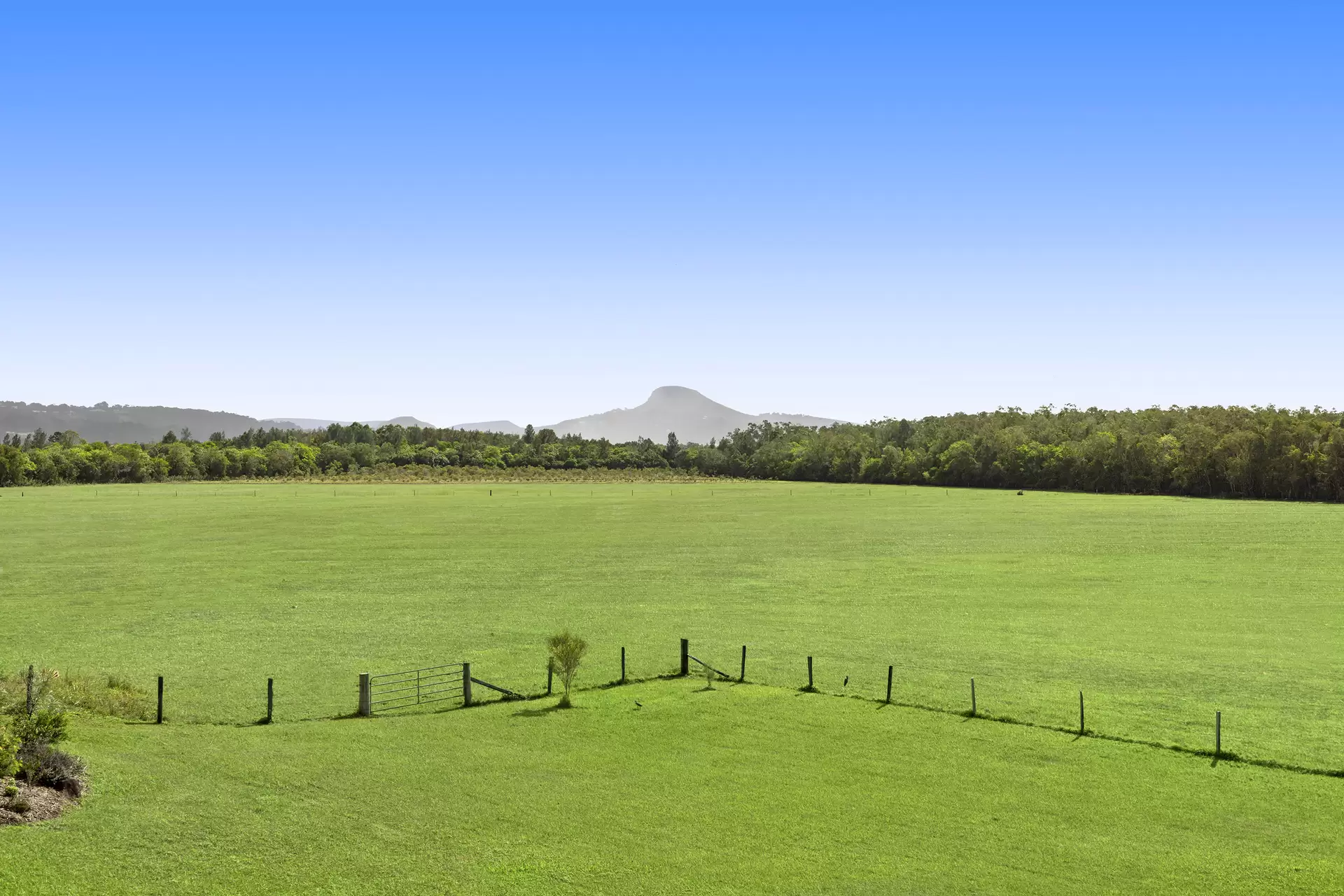 75 Espin Road, Bli Bli Sold by Queensland Sotheby's International Realty - image 1